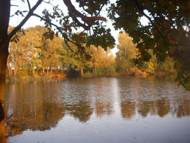 herbstamsee2.jpg