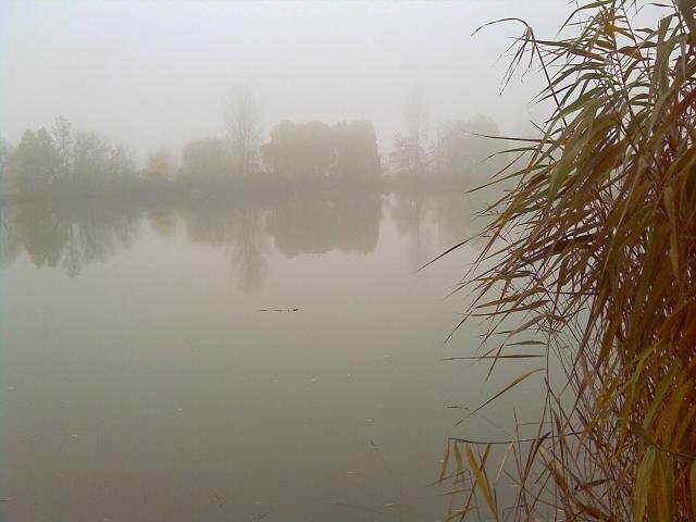herbstamweiher.jpg