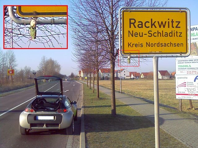 tbgermanworm.jpg