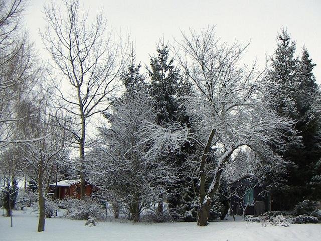 winterlandschaft.jpg